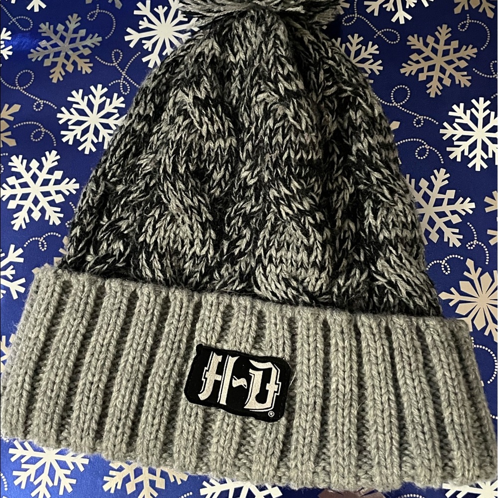 Harley Davidson hat and mittens